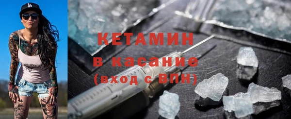 трава Дмитриев