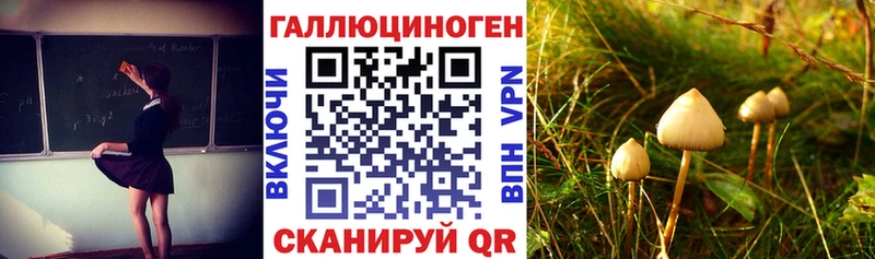 цена наркотик  Ессентуки  kraken ССЫЛКА  Псилоцибиновые грибы Magic Shrooms 
